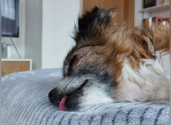 wunderschöne Soul sucht liebevolle Familie