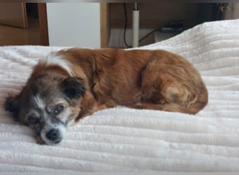 wunderschöne Soul sucht liebevolle Familie