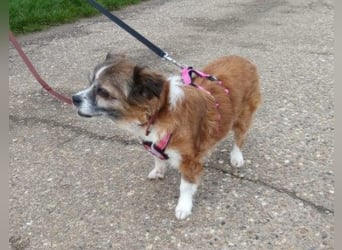 wunderschöne Soul sucht liebevolle Familie