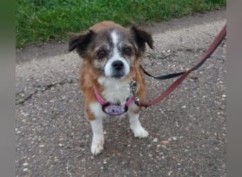 wunderschöne Soul sucht liebevolle Familie