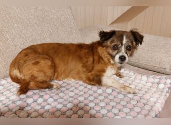 wunderschöne Soul sucht liebevolle Familie