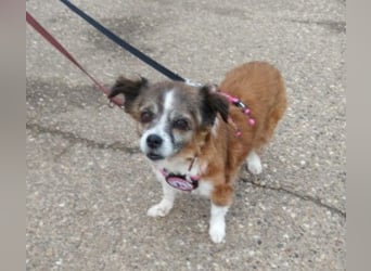 wunderschöne Soul sucht liebevolle Familie