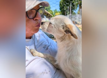 Birbo - egal wie klein, ein Hund bleibt ein Hund