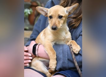 Prospero - was war, darf verblassen - damit Neues ganz langsam wachsen darf