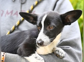 Paulina - was war, darf verblassen - damit Neues ganz langsam wachsen darf