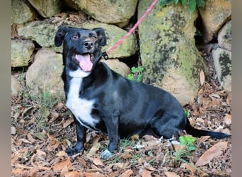 Nettie - was ne Wundertüte!