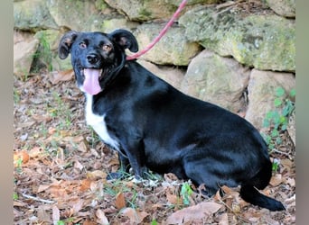 Nettie - was ne Wundertüte!