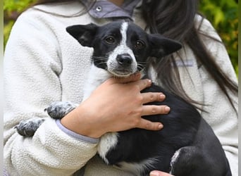 Paulina - was war, darf verblassen - damit Neues ganz langsam wachsen darf