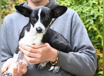 Paulina - was war, darf verblassen - damit Neues ganz langsam wachsen darf