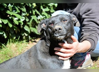 Nettie - was ne Wundertüte!