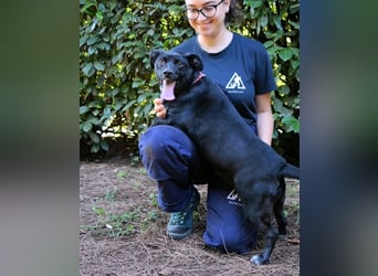 Nettie - was ne Wundertüte!