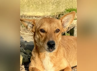 Soraia - unsere kleine Durchhalte-Heldin