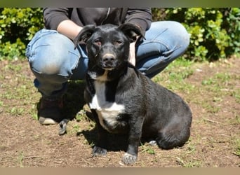 Nettie - was ne Wundertüte!