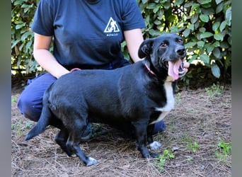 Nettie - was ne Wundertüte!