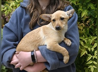 Prospero - was war, darf verblassen - damit Neues ganz langsam wachsen darf