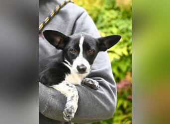 Paulina - was war, darf verblassen - damit Neues ganz langsam wachsen darf