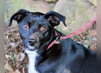 Nettie - was ne Wundertüte!