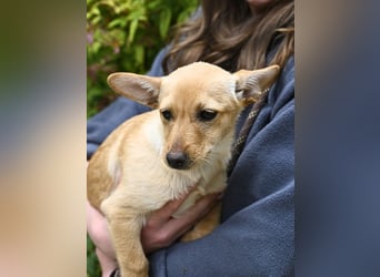 Prospero - was war, darf verblassen - damit Neues ganz langsam wachsen darf