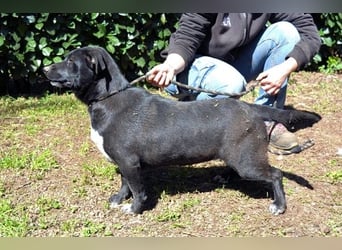 Nettie - was ne Wundertüte!