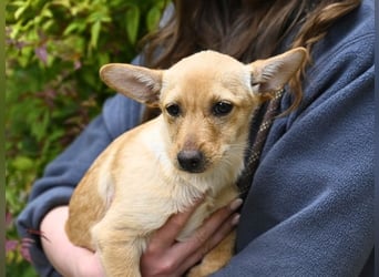 Prospero - was war, darf verblassen - damit Neues ganz langsam wachsen darf