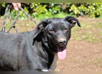 Nettie - was ne Wundertüte!