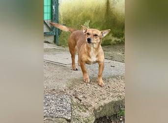 Soraia - unsere kleine Durchhalte-Heldin