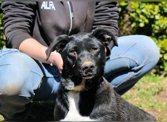 Nettie - was ne Wundertüte!