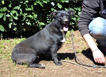 Nettie - was ne Wundertüte!