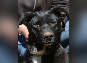 Nettie - was ne Wundertüte!