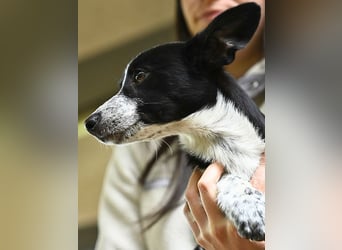 Paulina - was war, darf verblassen - damit Neues ganz langsam wachsen darf