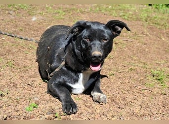 Nettie - was ne Wundertüte!