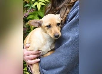 Prospero - was war, darf verblassen - damit Neues ganz langsam wachsen darf