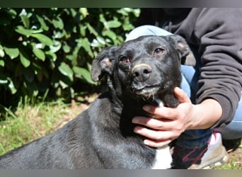 Nettie - was ne Wundertüte!