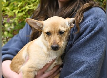 Prospero - was war, darf verblassen - damit Neues ganz langsam wachsen darf