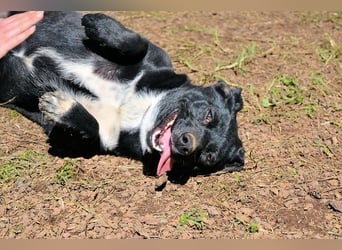 Nettie - was ne Wundertüte!