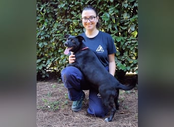 Nettie - was ne Wundertüte!