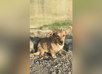 Soraia - unsere kleine Durchhalte-Heldin