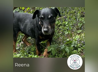 Reena: Neustart! Los geht’s!