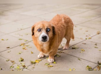 Benedict: Kleiner Kämpfer braucht Liebe