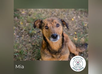 Mia sucht ein Zuhause