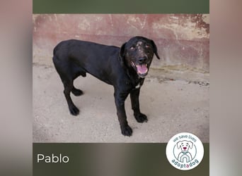 Pablo: Sucht seinen sicheren Hafen
