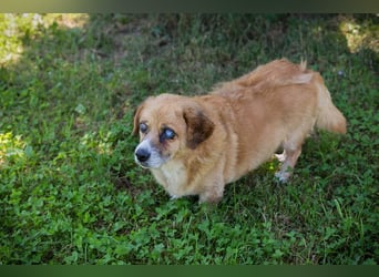 Benedict: Kleiner Kämpfer braucht Liebe