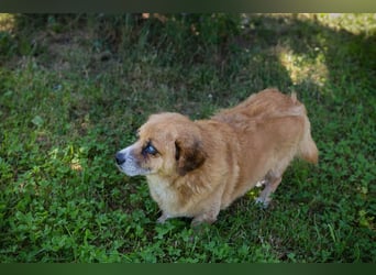 Benedict: Kleiner Kämpfer braucht Liebe