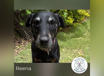 Reena: Neustart! Los geht’s!