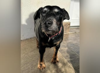 Reena: Neustart! Los geht’s!