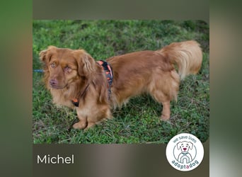 Michel: Herzvoll und anhänglich