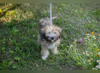 Kiara sucht ein Zuhause