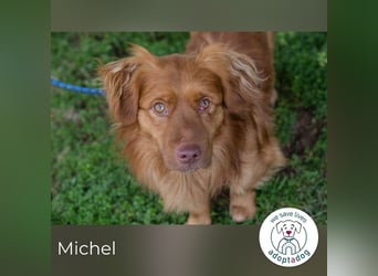 Michel: Herzvoll und anhänglich