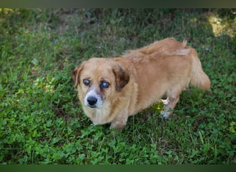 Benedict: Kleiner Kämpfer braucht Liebe