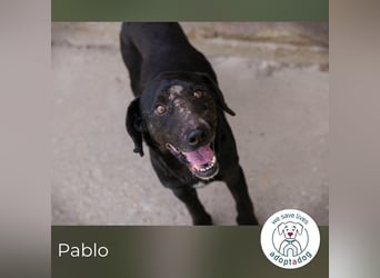 Pablo: Sucht seinen sicheren Hafen